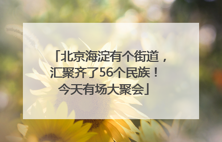 北京海淀有个街道，汇聚齐了56个民族！今天有场大聚会