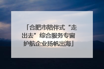 合肥市陪伴式“走出去”综合服务专窗护航企业扬帆出海
