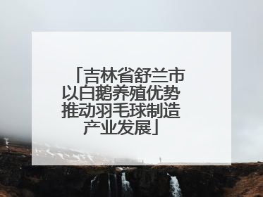吉林省舒兰市以白鹅养殖优势推动羽毛球制造产业发展