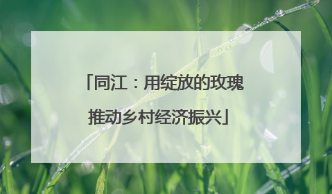 同江：用绽放的玫瑰 推动乡村经济振兴