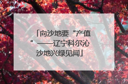 向沙地要“产值”——辽宁科尔沁沙地兴绿见闻