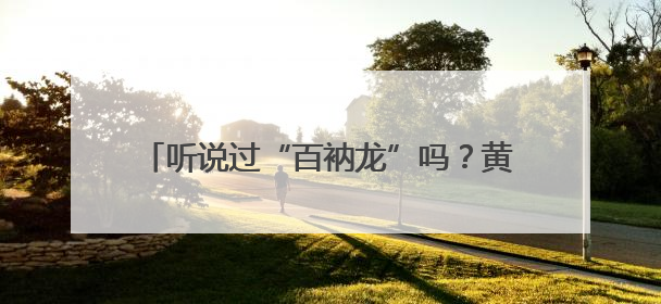 听说过“百衲龙”吗？黄湖青山村“花式”过端午