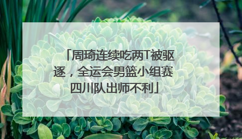 周琦连续吃两T被驱逐,全运会男篮小组赛四川队出师不利