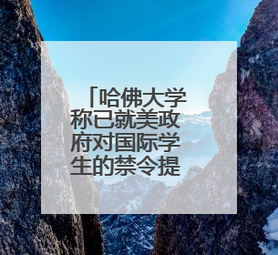 哈佛大学称已就美政府对国际学生的禁令提起诉讼