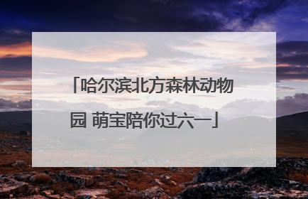 哈尔滨北方森林动物园 萌宝陪你过六一