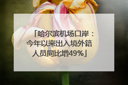 哈尔滨机场口岸：今年以来出入境外籍人员同比增49%