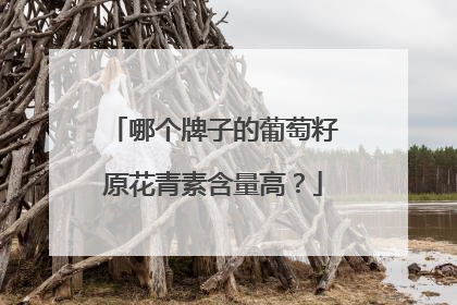 哪个牌子的葡萄籽原花青素含量高？