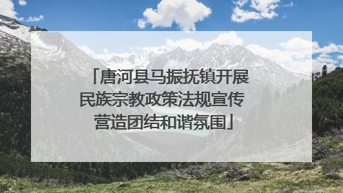 唐河县马振抚镇开展民族宗教政策法规宣传 营造团结和谐氛围