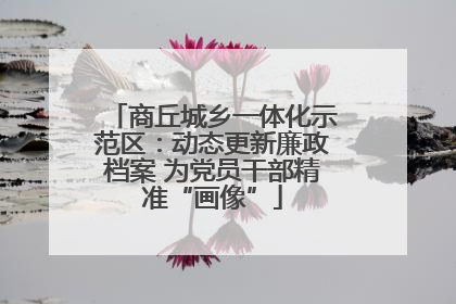 商丘城乡一体化示范区：动态更新廉政档案 为党员干部精准“画像”