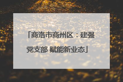 商洛市商州区：建强党支部 赋能新业态