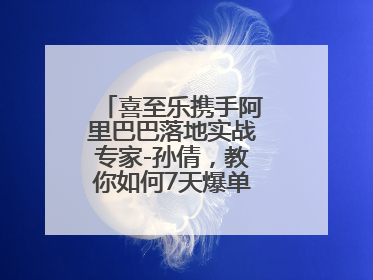 喜至乐携手阿里巴巴落地实战专家-孙倩，教你如何7天爆单逆袭跨境电商