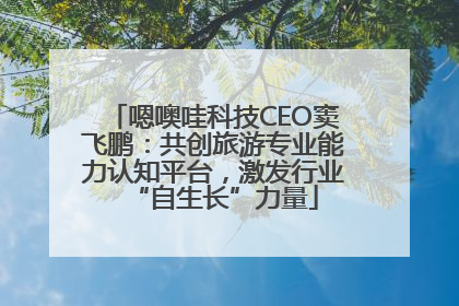 嗯噢哇科技CEO窦飞鹏：共创旅游专业能力认知平台，激发行业“自生长”力量
