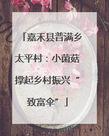 嘉禾县普满乡太平村：小菌菇撑起乡村振兴“致富伞”