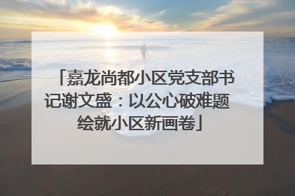 嘉龙尚都小区党支部书记谢文盛：以公心破难题 绘就小区新画卷