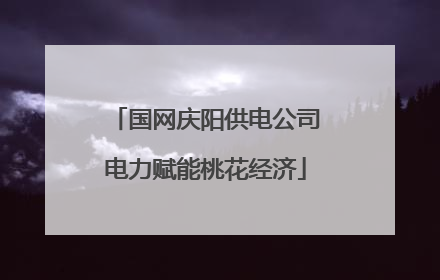 国网庆阳供电公司电力赋能桃花经济