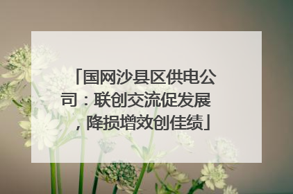 国网沙县区供电公司：联创交流促发展，降损增效创佳绩