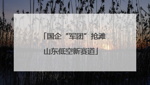 国企“军团”抢滩山东低空新赛道