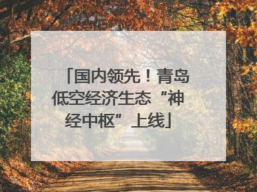 国内领先！青岛低空经济生态“神经中枢”上线
