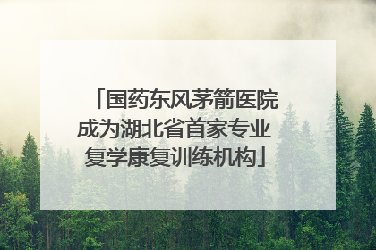 国药东风茅箭医院成为湖北省首家专业复学康复训练机构