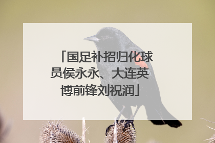 国足补招归化球员侯永永、大连英博前锋刘祝润