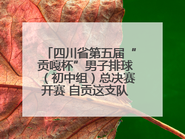 四川省第五届“贡嘎杯”男子排球（初中组）总决赛开赛 自贡这支队伍打进半决赛