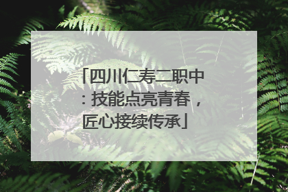四川仁寿二职中：技能点亮青春，匠心接续传承
