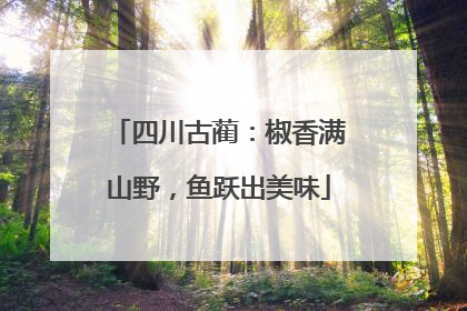 四川古蔺：椒香满山野，鱼跃出美味