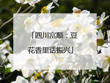 四川富顺：豆花香里话振兴