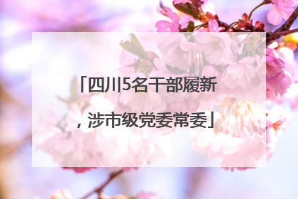 四川5名干部履新，涉市级党委常委