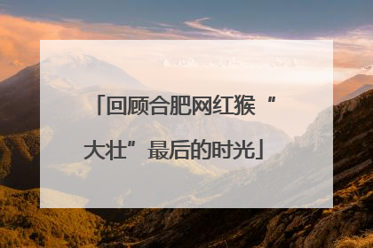回顾合肥网红猴“大壮”最后的时光