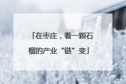 在枣庄，看一颗石榴的产业“链”变