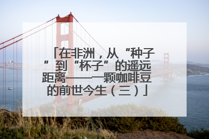 在非洲，从“种子”到“杯子”的遥远距离——一颗咖啡豆的前世今生（三）