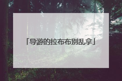 导游的拉布布别乱拿