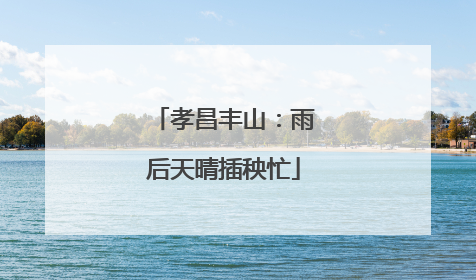 孝昌丰山：雨后天晴插秧忙