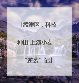 孟津区：科技种田 上演小麦“逆袭”记