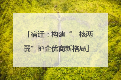 宿迁：构建“一核两翼”护企优商新格局