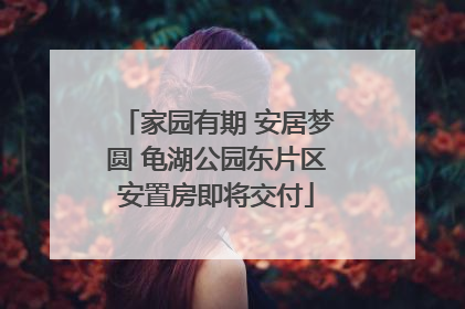 家园有期 安居梦圆 龟湖公园东片区安置房即将交付