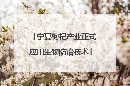 宁夏枸杞产业正式应用生物防治技术