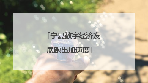 宁夏数字经济发展跑出加速度