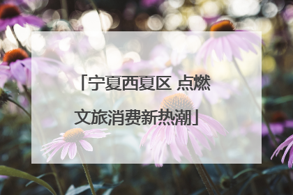 宁夏西夏区 点燃文旅消费新热潮