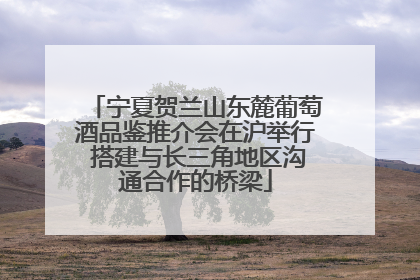 宁夏贺兰山东麓葡萄酒品鉴推介会在沪举行 搭建与长三角地区沟通合作的桥梁
