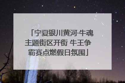 宁夏银川黄河·牛魂主题街区开街 牛王争霸赛点燃假日氛围