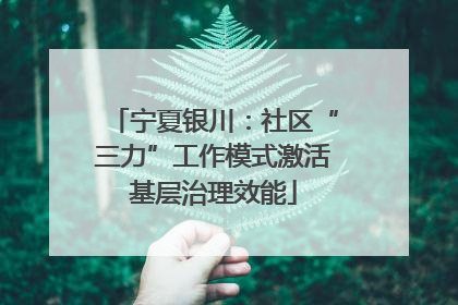 宁夏银川：社区“三力”工作模式激活基层治理效能