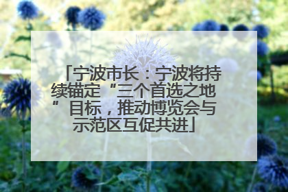 宁波市长：宁波将持续锚定“三个首选之地”目标，推动博览会与示范区互促共进