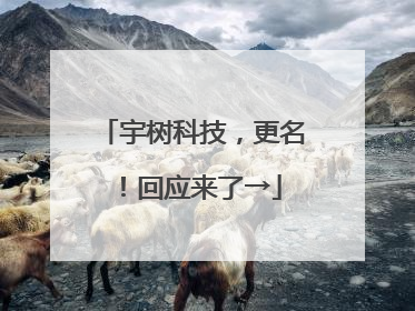 宇树科技，更名！回应来了→