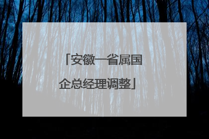 安徽一省属国企总经理调整