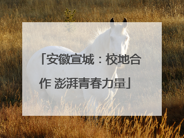 安徽宣城：校地合作 澎湃青春力量
