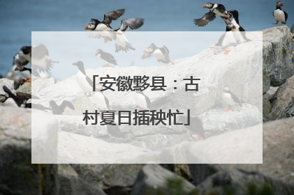 安徽黟县：古村夏日插秧忙