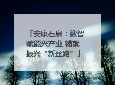 安康石泉：数智赋能兴产业 铺就振兴“新丝路”