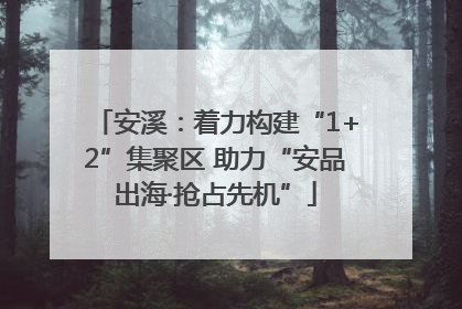 安溪：着力构建“1+2”集聚区 助力“安品出海·抢占先机”